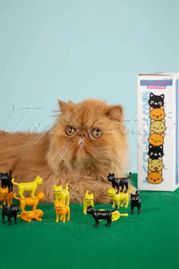 Game - Catastrofe!-Gift Republic Online