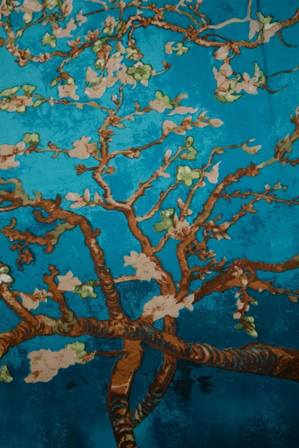 Jade Sjaal In Teal-Amici Outlet